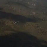Ministerul Apărării anunță două drone intrate în România. „Prioritatea” a venit prin RO-Alert în Iași și Neamț